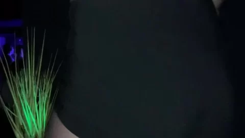 SkyhighSierra – Amsterdam Hallo Nightclub Dance