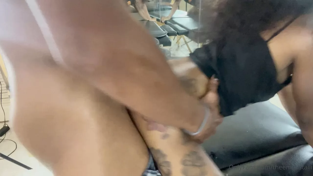 0 Mini Stallion CBB