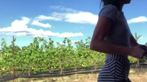 Slender Latina Teases in Tight Shorts at Rustic Vineyard