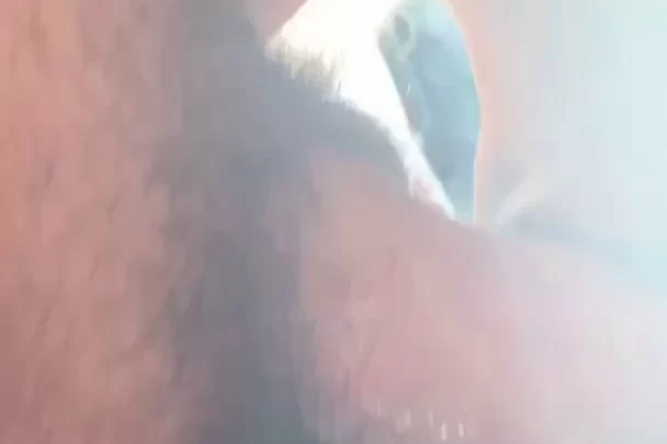 Zhara Nilsson Having Sex By The Window