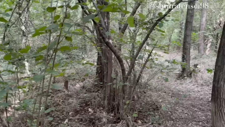Shinratensei Gold – Blowjob in the Forest