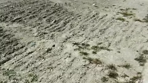 Yoshi Baby Outdoor Sex In Matterhorn With Stranger
