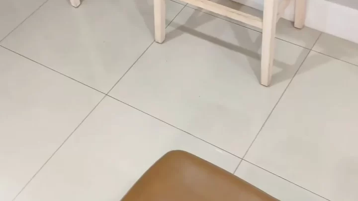 Zuribellarose POV