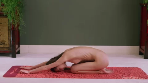 WowGirls: Leona Mia Yoga Room Fuck