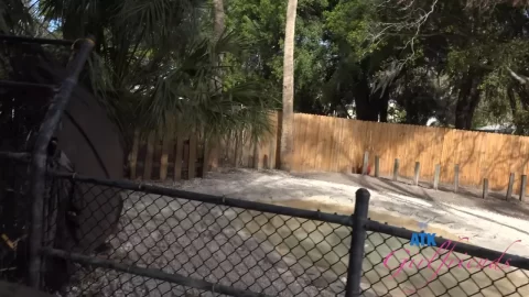 ATKGirlfriends – Mira Luv Sarasota Outdoor Pussy Wetting
