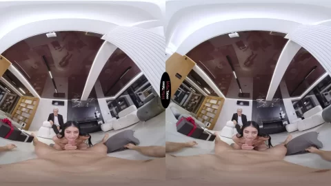 Two Brunette White Girls in 69 on Sofa in Living Room