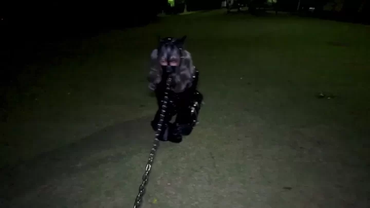lemon 野外ヒトイヌ (Outdoor Human Dog)野外ヒトイヌ 散歩 ショート２