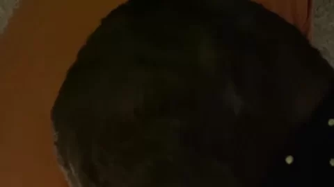 Blonde girl gives white guy a blowjob on bed