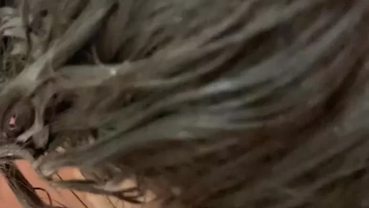 White woman gives black man blowjob in shower