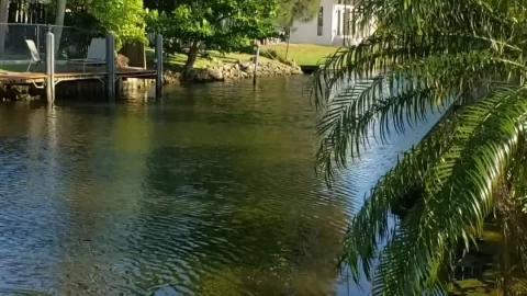 Outdoor Backyard Sex with Blonde Girl