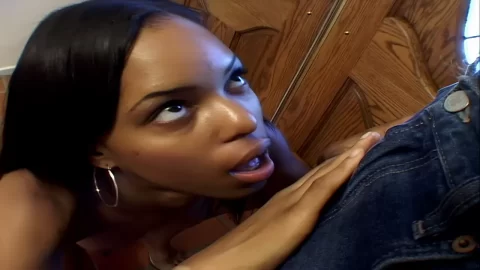 Interracial Lust Vol – Iris