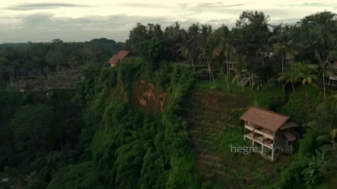 Clover Swinging In Bali