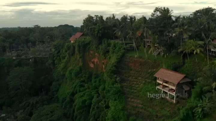 Clover Swinging In Bali