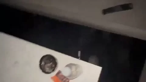 Argentine Branquinha Fucking Riding Big Dick