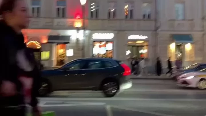 Asian Girl Walks Home, Gets Fucked