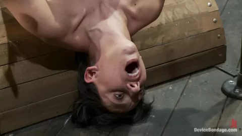 Slim dark-haired guys in bondage and BDSM play
