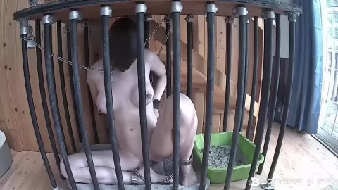 0 Cage Time For Greyhound