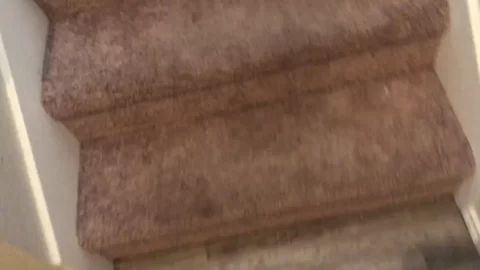 Quirky Girl Fucks Herself With Dildo All Over New House