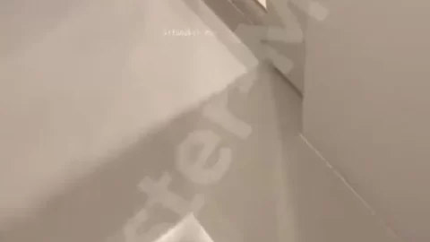 Asian girl with leg tattoo gets off on toilet