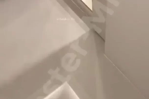 Asian girl with leg tattoo gets off on toilet