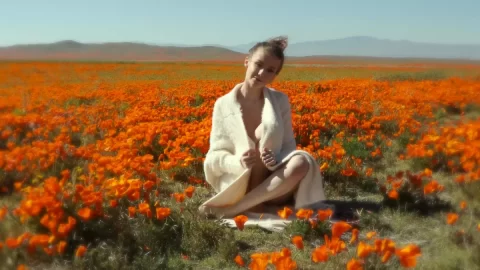 TEB – Emily Bloom Poppies