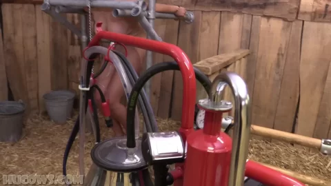KSFree – Denise The Red Cow Milker