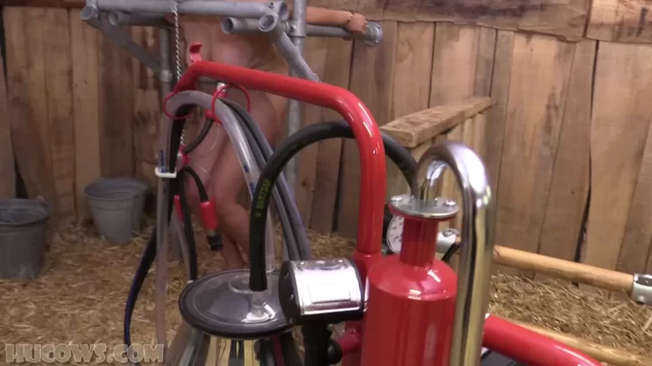 KSFree – Denise The Red Cow Milker