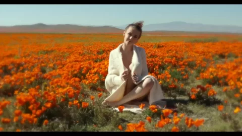 TEB Emily Bloom Poppies