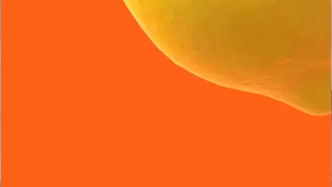 join telegram @ – Lemon Girl