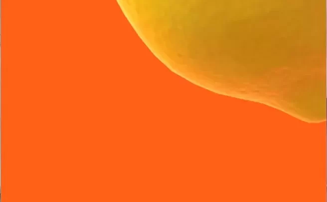 join telegram @ – Lemon Girl