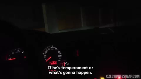 Blonde woman gives oral sex in bathroom and car