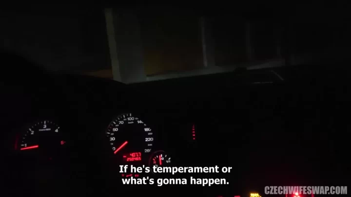Blonde woman gives oral sex in bathroom and car