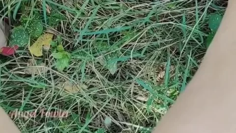 Hairy Girl Pissing – Angel Fowler