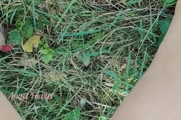 Hairy Girl Pissing – Angel Fowler