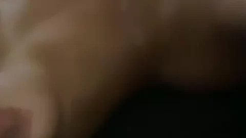 Latina girl with tattoo on abdomen gets intimate