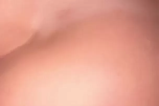 Soydanitabaresbb – Only Fans Top Blonde Serves Client