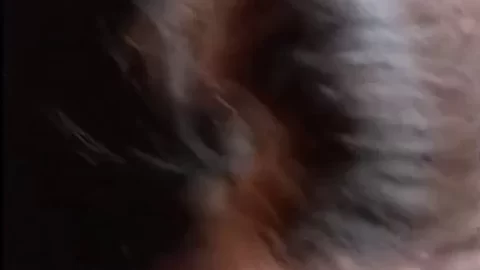 Brunette ELLE Glasses BLOWJOB FINISH Cumshot South Africa