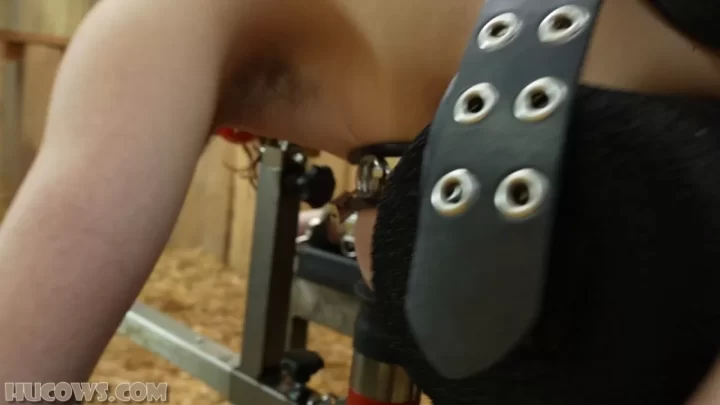 HuCows 0 – Delphine Mason Edging And Milking