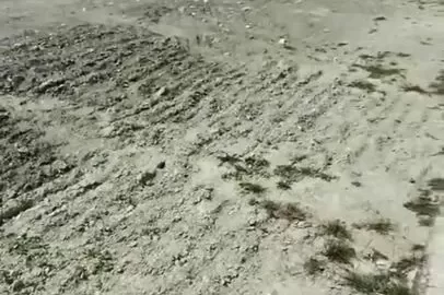 Viral Bule Ngewe Di Gunung Rinjani