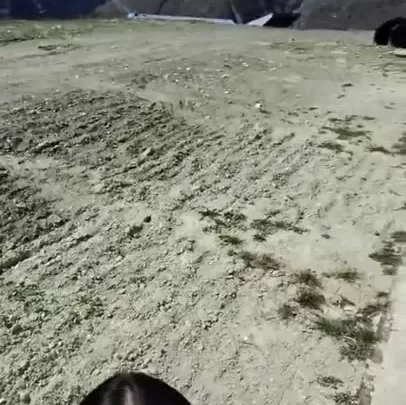 Viral Bule Ngewe Di Gunung Rinjani