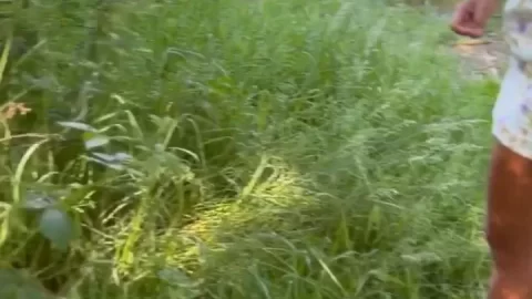 Peachytara – Peachy & Tara Leaked Video